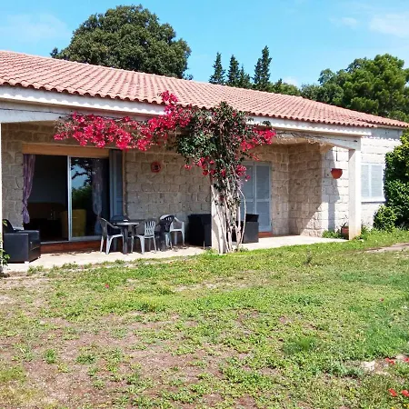Luxueuse 3 Avec Jardin, Terrasse Et Barbecue - A Proximite De Porto-vecchio Et Plages - Fr-1-62-150